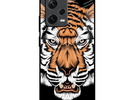 Angry Tiger Glass Case For Redmi Note 12 Pro 5G Online