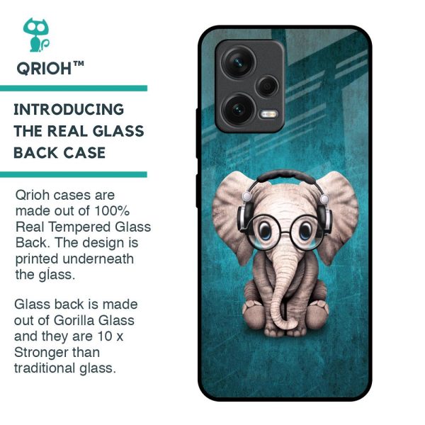 Adorable Baby Elephant Glass Case For Redmi Note 12 5G Hot on Sale