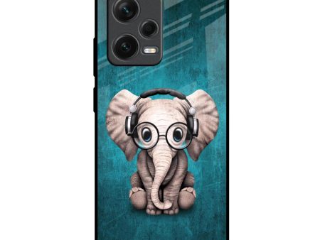 Adorable Baby Elephant Glass Case For Redmi Note 12 Pro Plus 5G Fashion