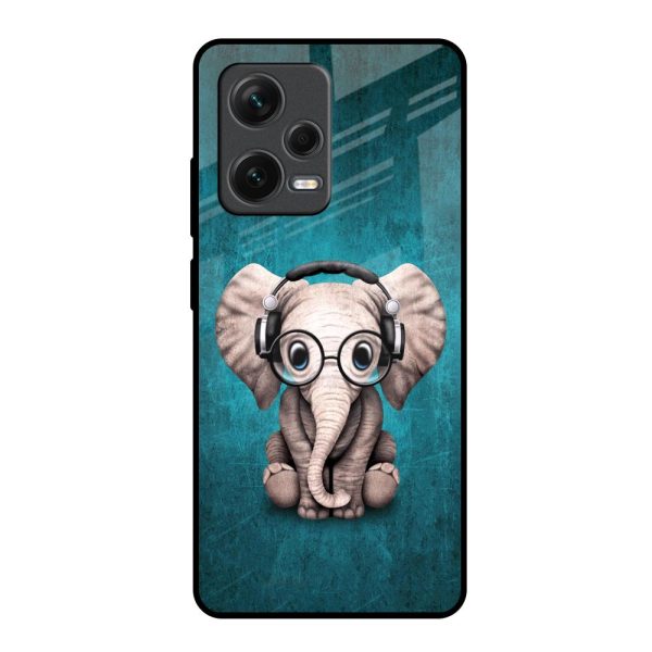 Adorable Baby Elephant Glass Case For Redmi Note 12 Pro Plus 5G Fashion