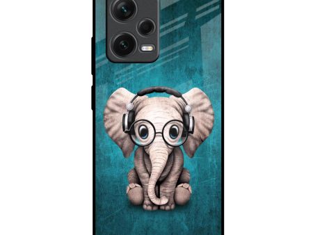 Adorable Baby Elephant Glass Case For Redmi Note 12 Pro 5G For Cheap